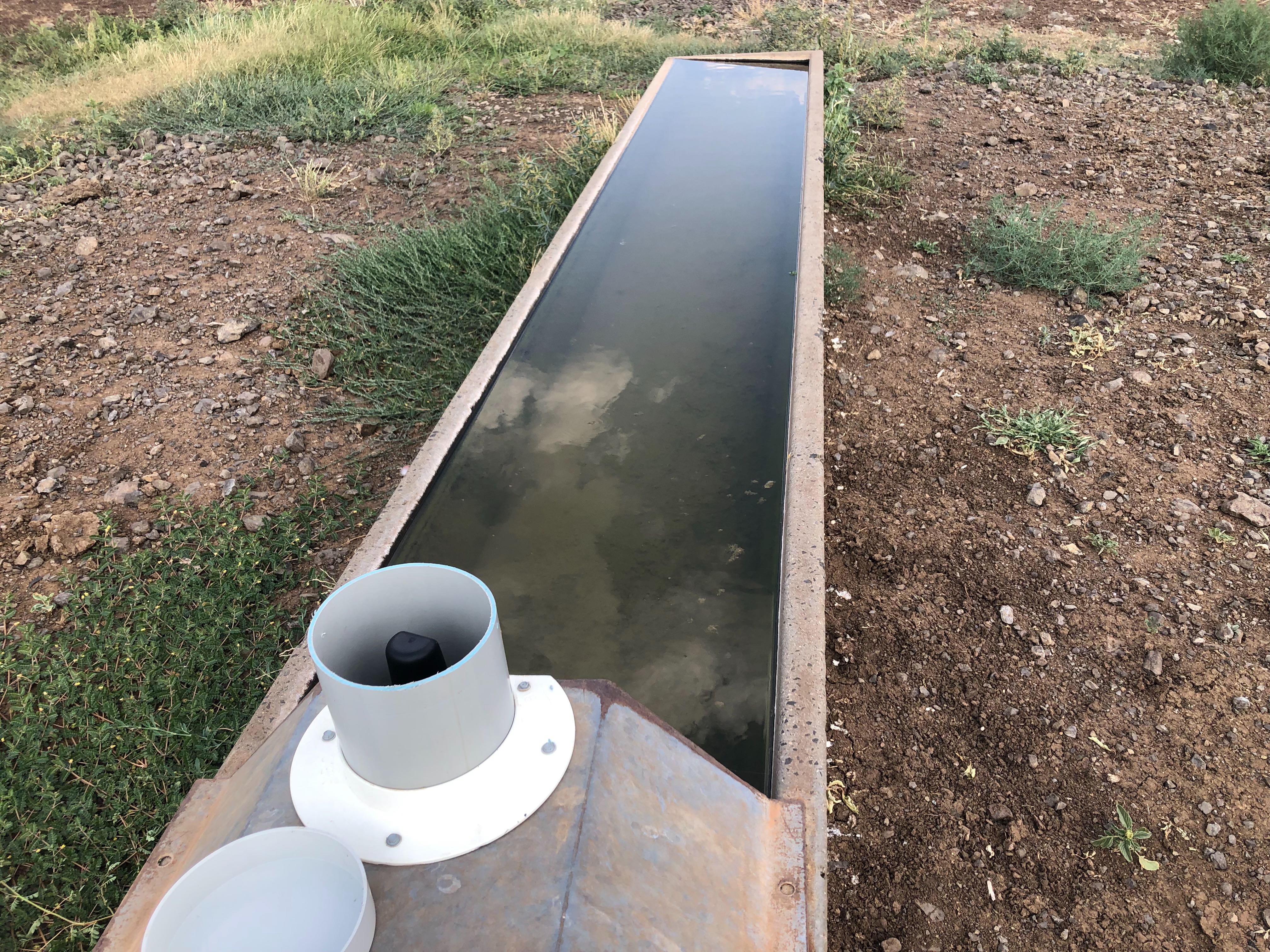 Level Monitor Trough Level Monitor – AxisTech Devices
